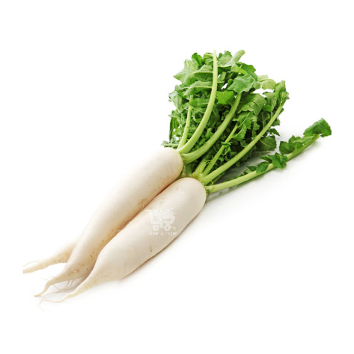 Radish (Labanos) – 4R Fresh And Frozen - Main Image