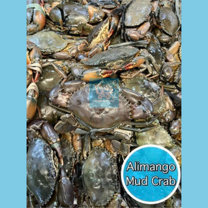 Mud Crab (Alimango)