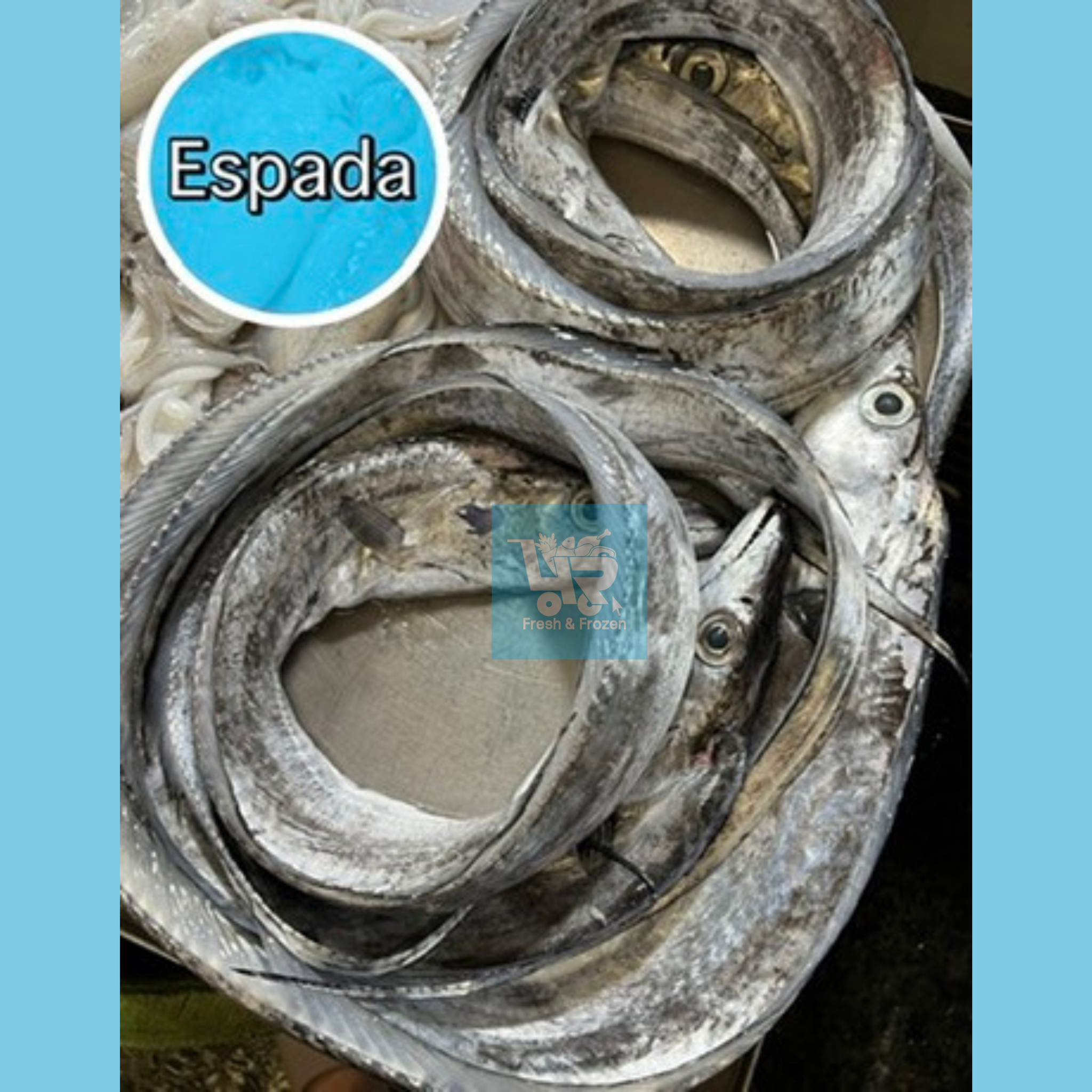 Espada (Belt Fish) – 4R Fresh And Frozen