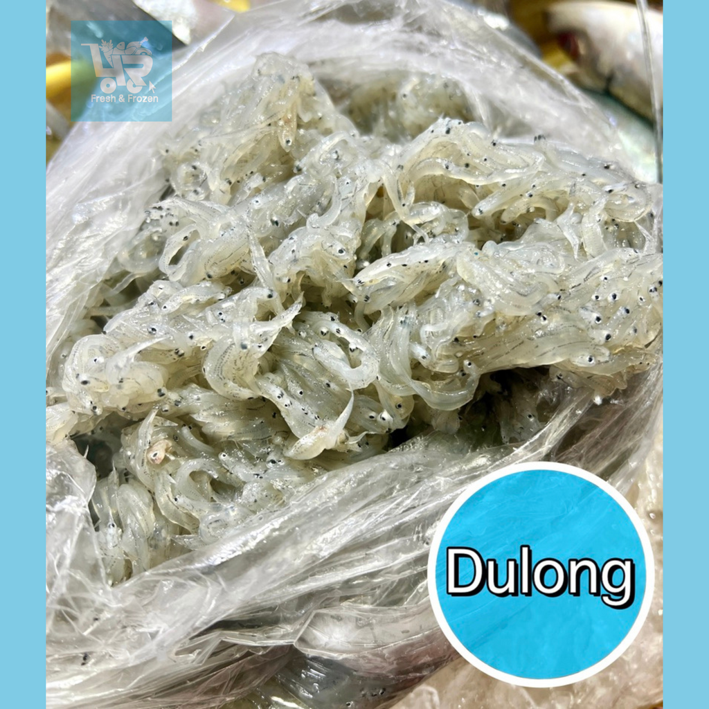 Dulong (Silverfish)