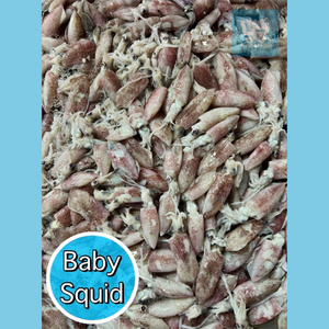 Baby Squid