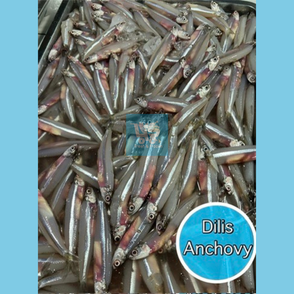 Dilis (Anchovy)