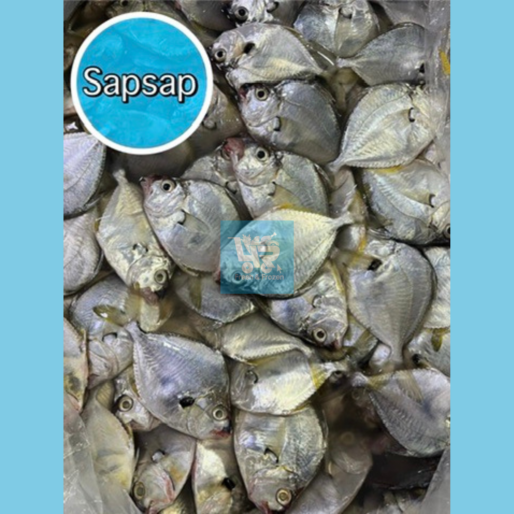 SapSap (Ponyfish)