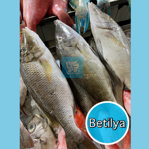 Betilya (Emperor Fish) – 4R Fresh And Frozen