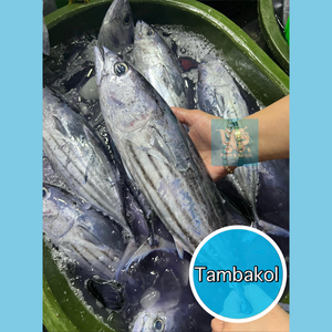 Tambakol (Skipjack Tuna)