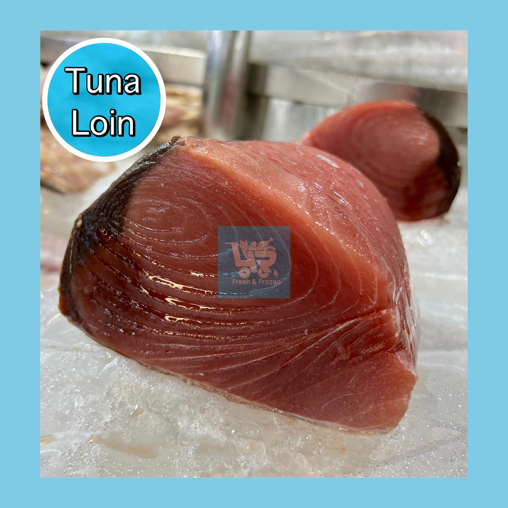 Tuna Loin / Fillet