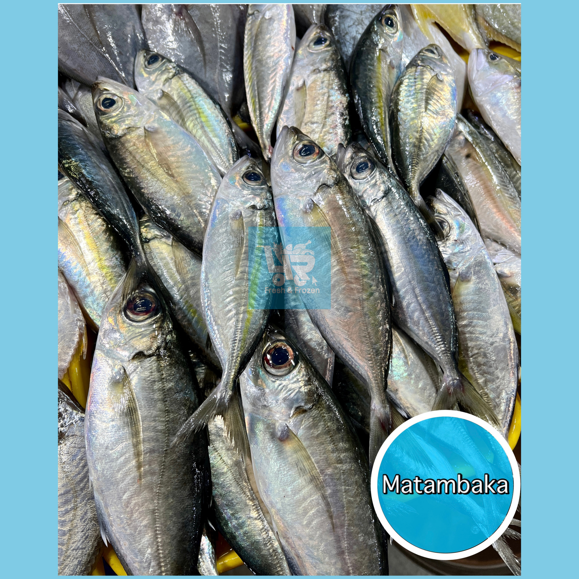 Matambaka (Bigeyed Scad) – 4R Fresh And Frozen