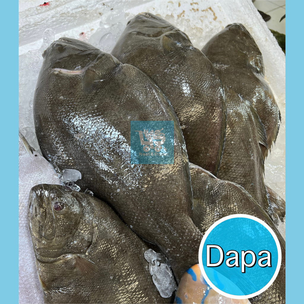 Dapa (Sole Fish)