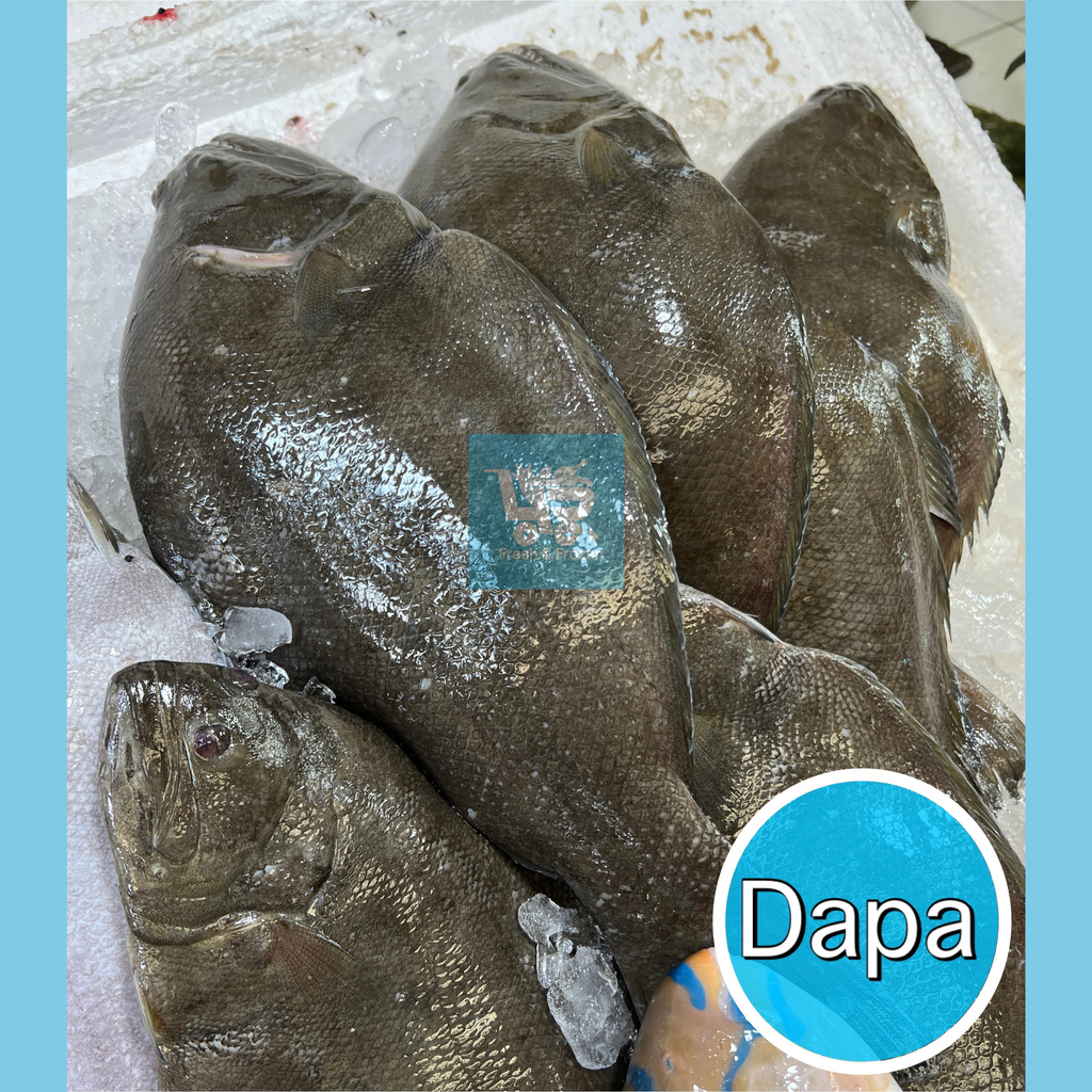 Seafood – 4R Fresh And Frozen