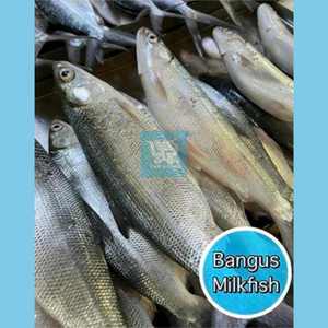 Bangus (Milkfish)