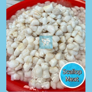 Scallop Meat