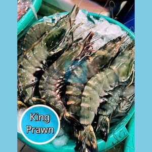 King Prawn (Sugpo)