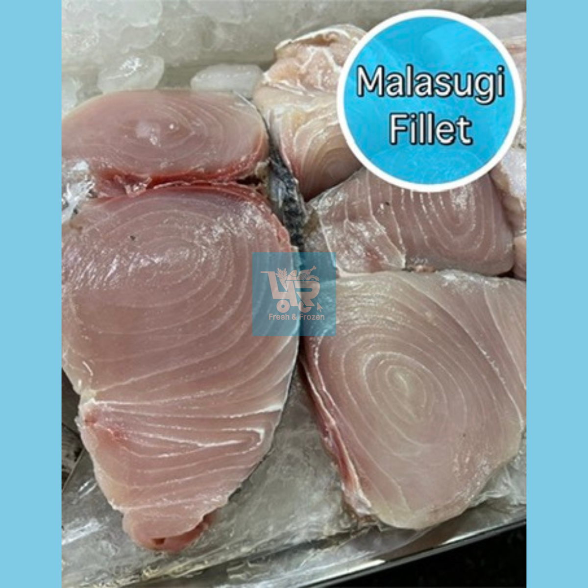 Malasugi Fillet (Sailfish) – 4R Fresh And Frozen