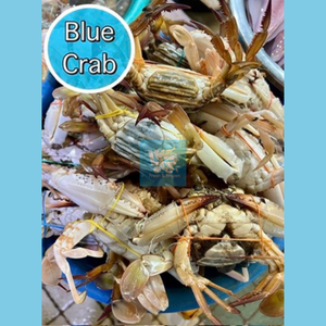 Blue Crab (Alimasag)