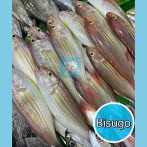 Bisugo (Threadfin Bream)