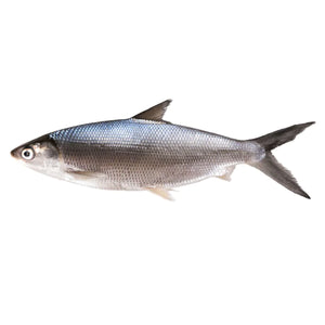 Bangus (Milkfish) - (choose variants)