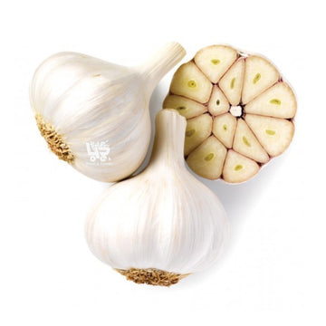 Garlic (Bawang)