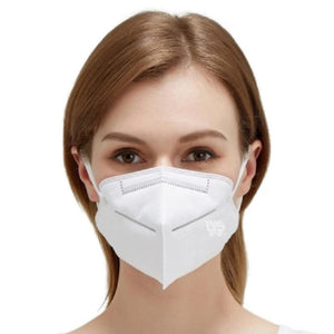 N95 mask - per piece
