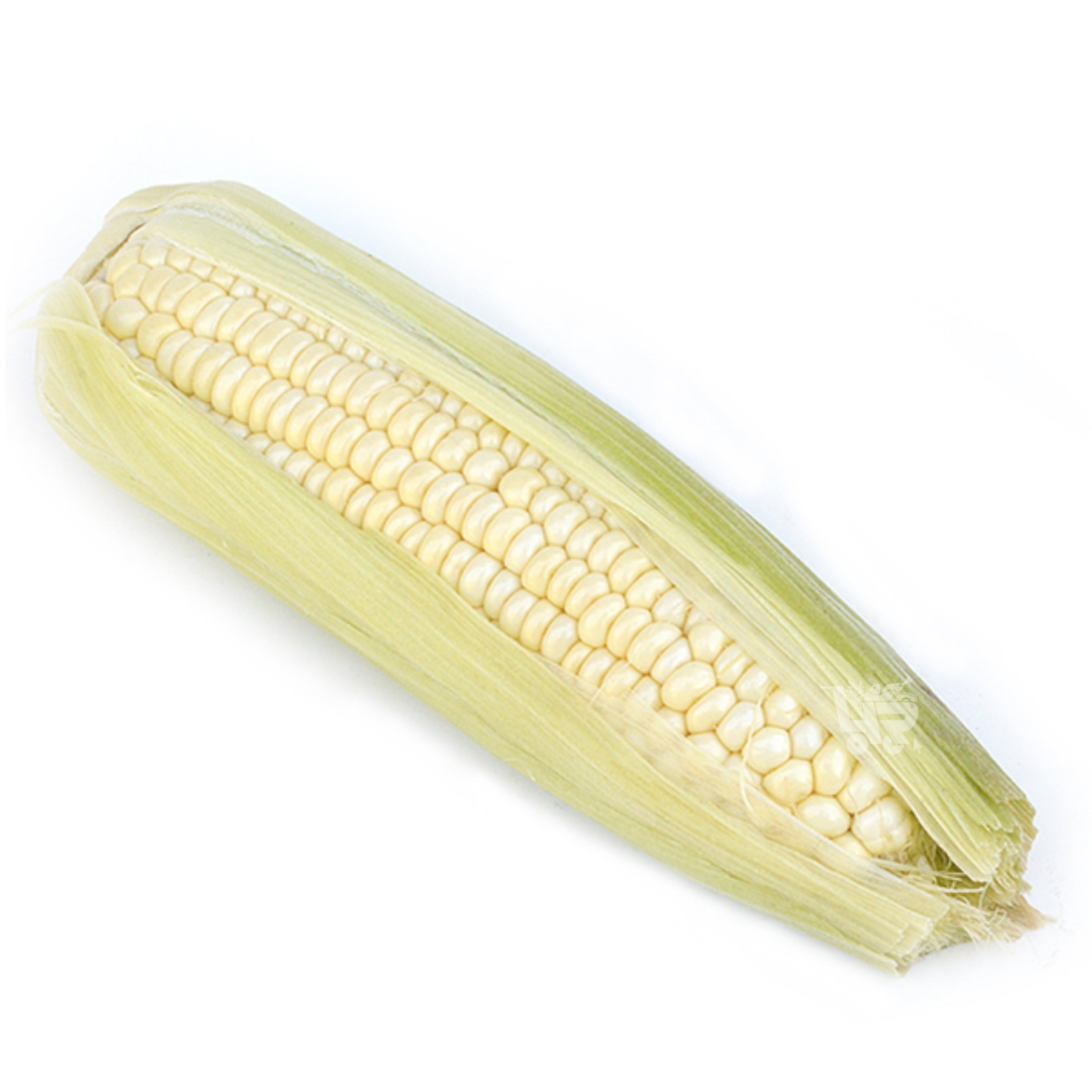 Corn - White (Native) – 4R Fresh And Frozen