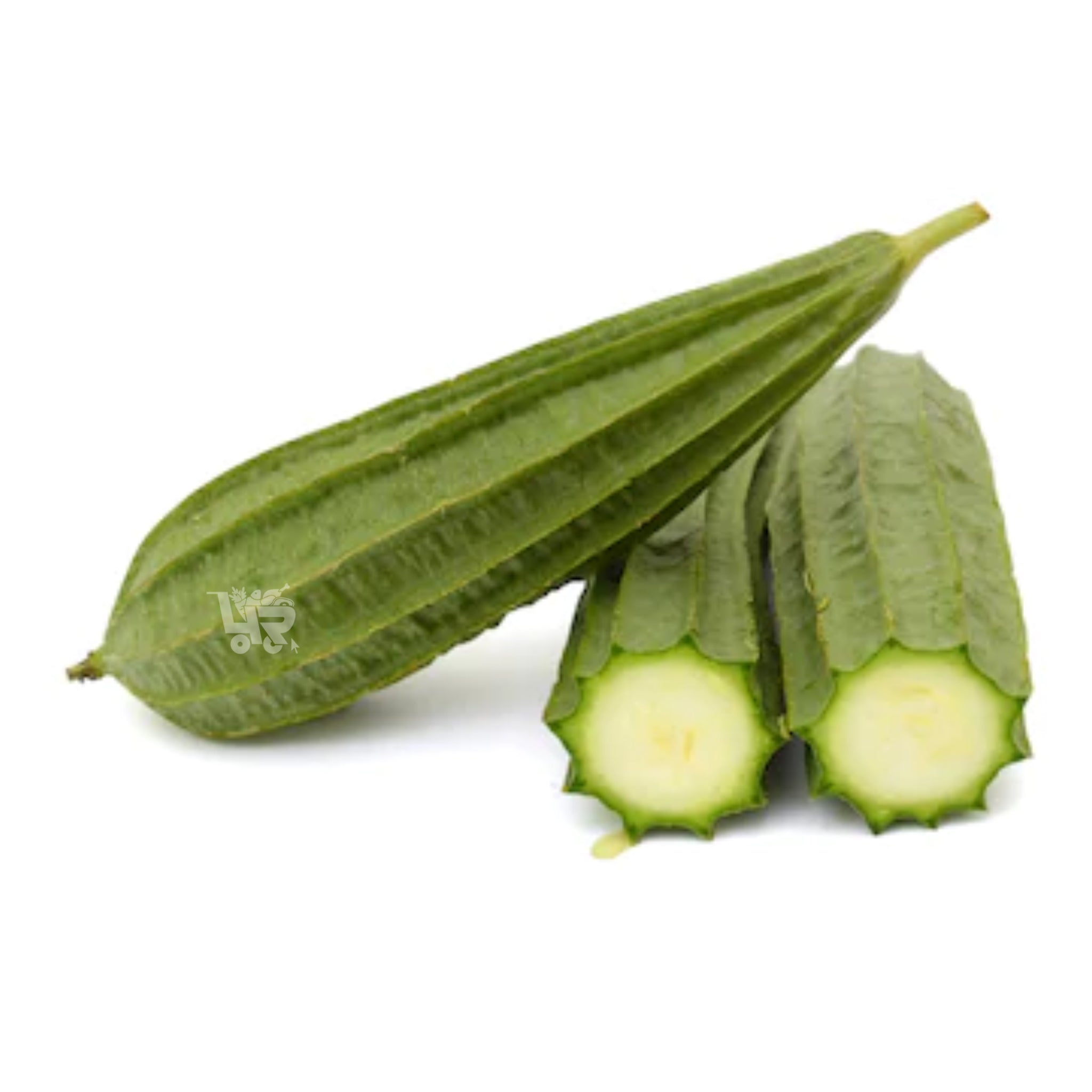 Patola Plant