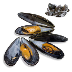 Tahong (Mussels)