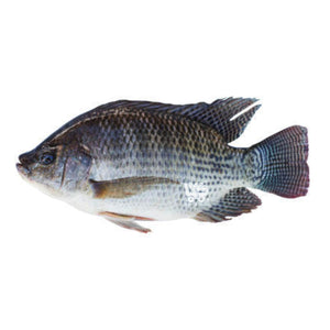 Tilapia (St. Peter's Fish) - fresh and dried (choose variants)
