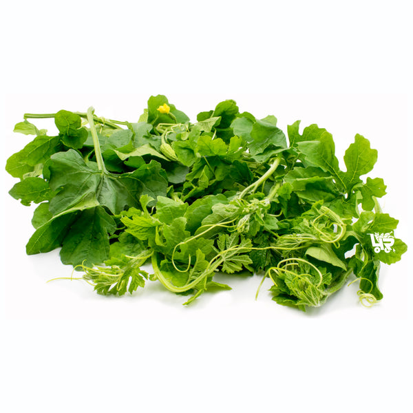 Ampalaya Leaves (Bitter Melon Leaves) – 4R Fresh And Frozen