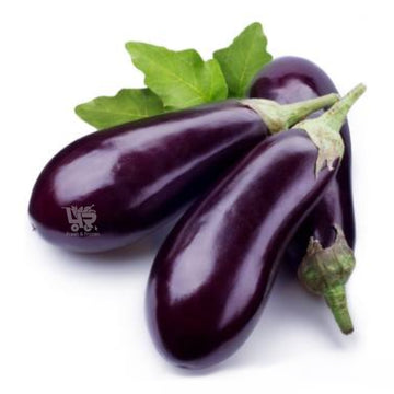 Eggplant (Talong)