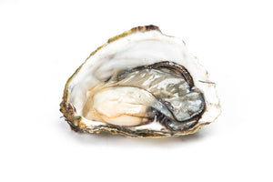 Oyster with Shell