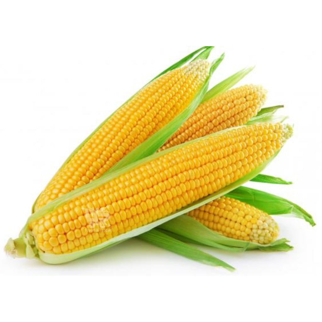 Corn - Sweet