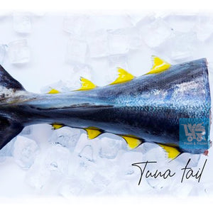 Tuna Tail (Buntot)