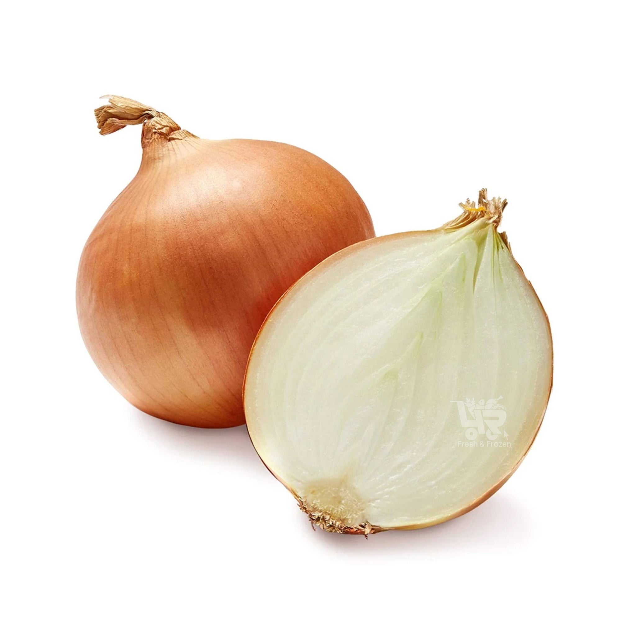 Onyon Onion (Sibuyas) – 4R Fresh And Frozen